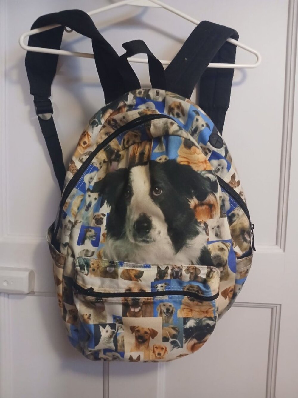 Dog Border Collie Back Pack